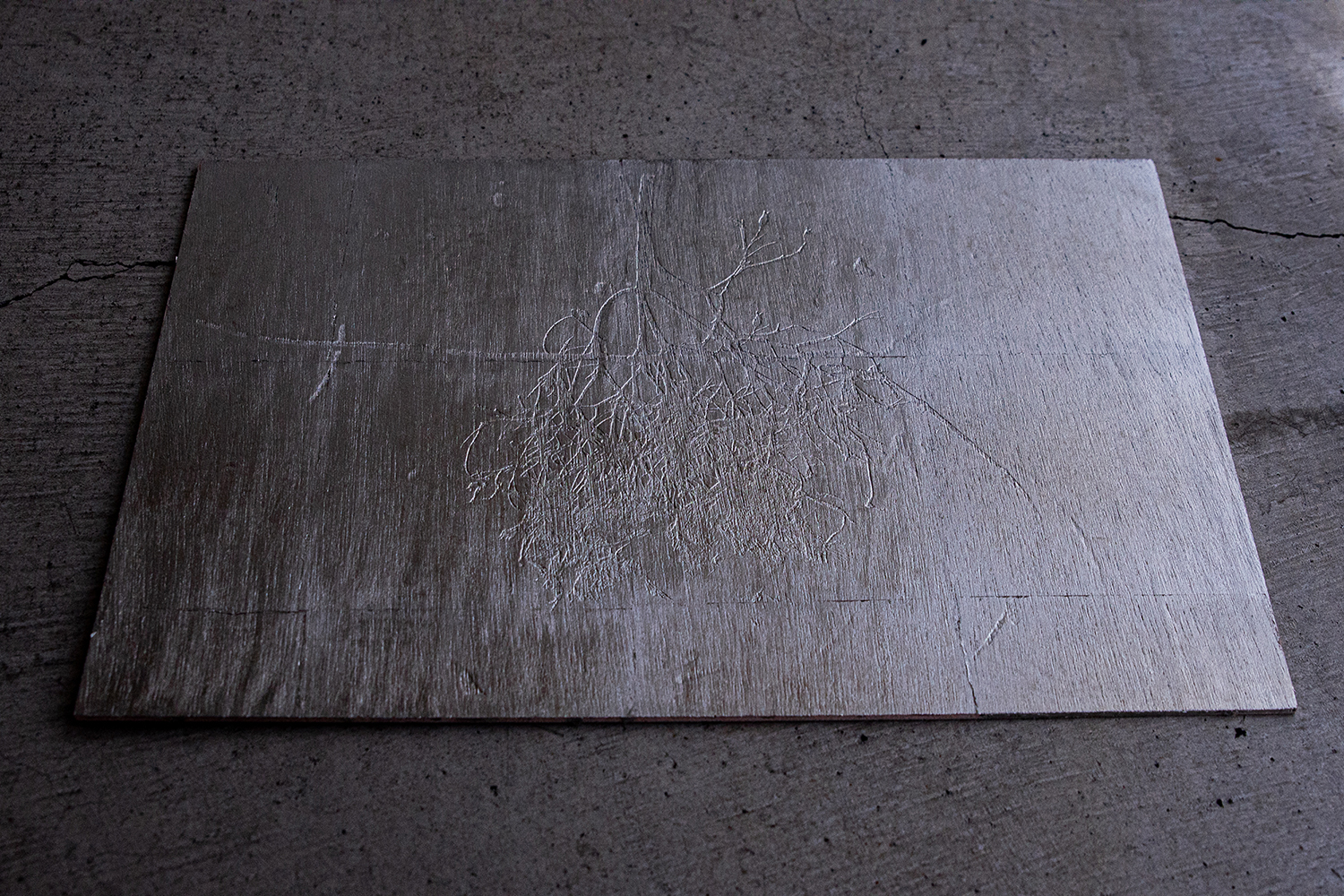 silver_skin